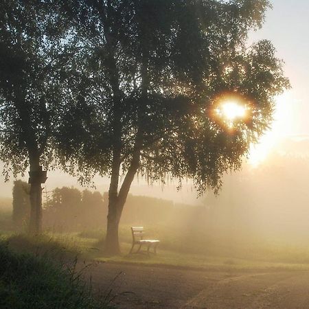 Schinderhanneshof Weitersborn Dış mekan fotoğraf
