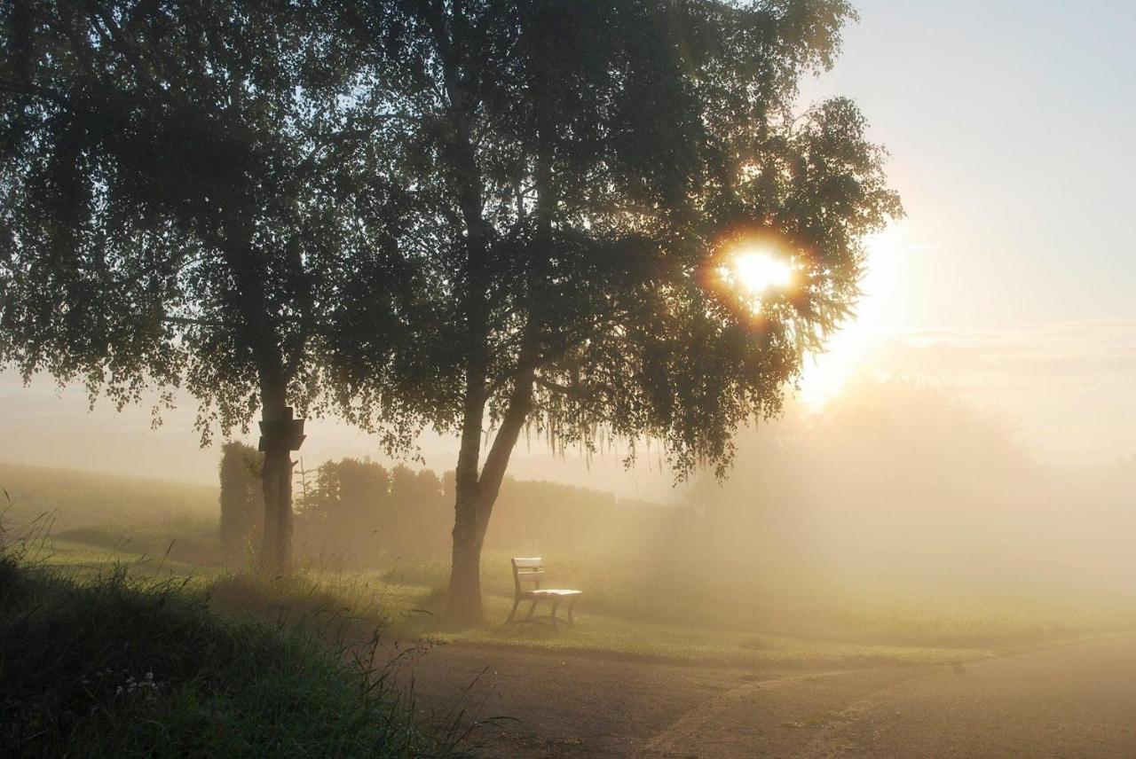 Schinderhanneshof Weitersborn Dış mekan fotoğraf